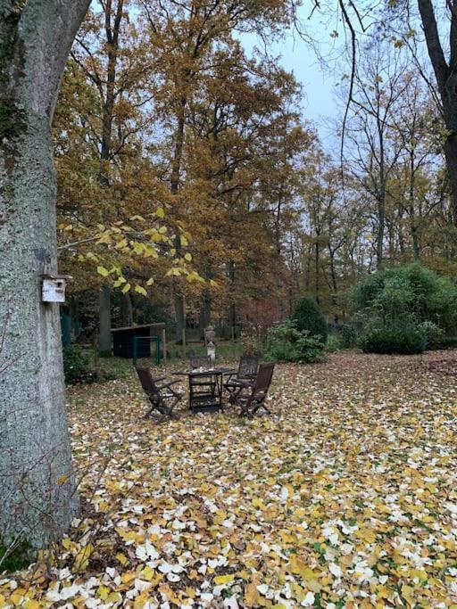 Maisonnette En Clairiere De Foret Gambais Exterior foto